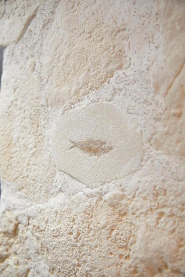 Beautiful Art Lovers Apartment Beziers Bagian luar foto